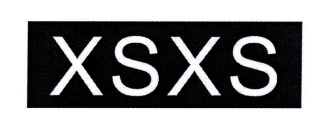 XS商標 企業品牌戰略的核心資產與專業查詢代理服務指南